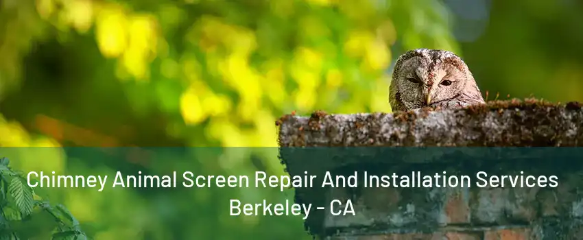 Chimney Animal Screen Repair And Installation Services Berkeley - CA