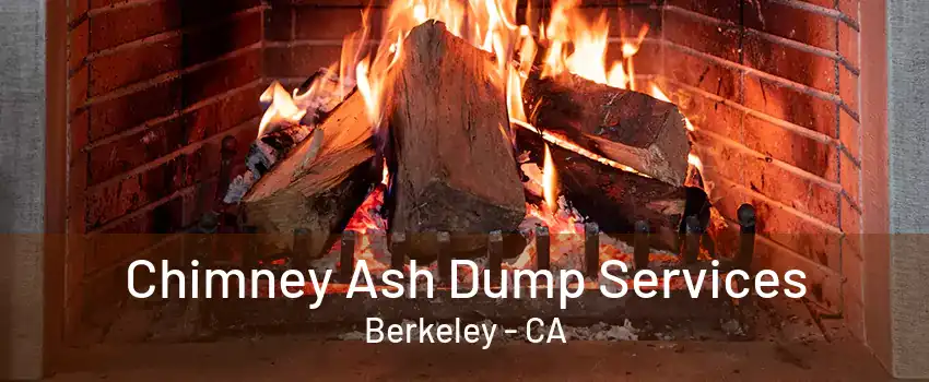 Chimney Ash Dump Services Berkeley - CA