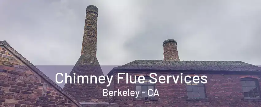 Chimney Flue Services Berkeley - CA