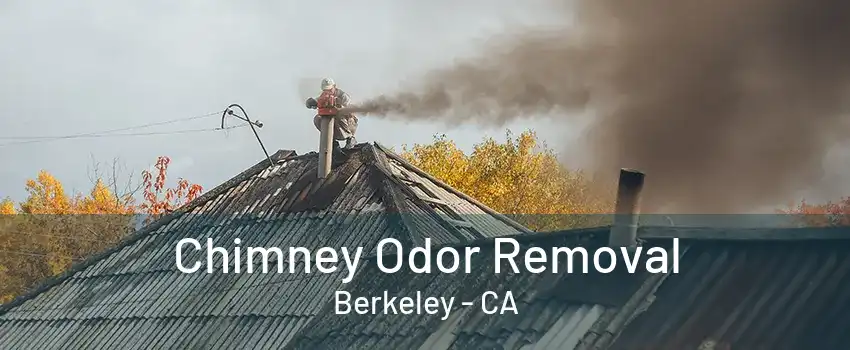 Chimney Odor Removal Berkeley - CA