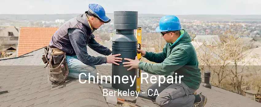 Chimney Repair Berkeley - CA