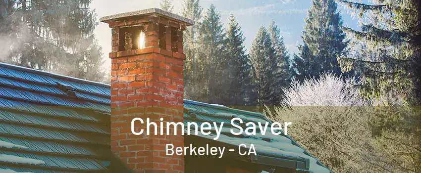 Chimney Saver Berkeley - CA