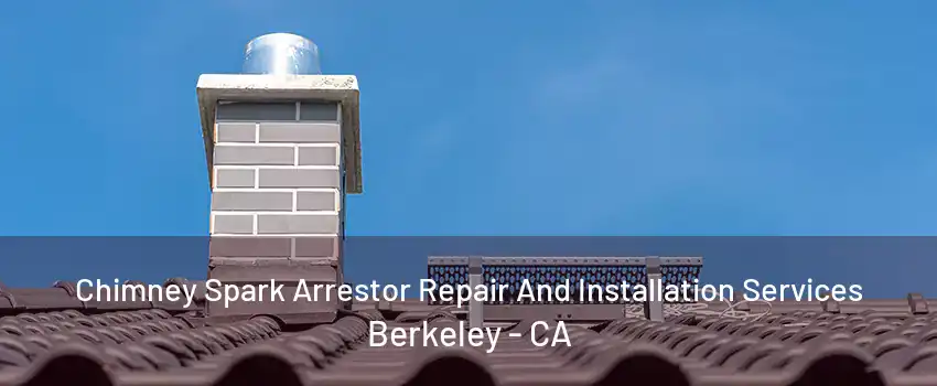 Chimney Spark Arrestor Repair And Installation Services Berkeley - CA