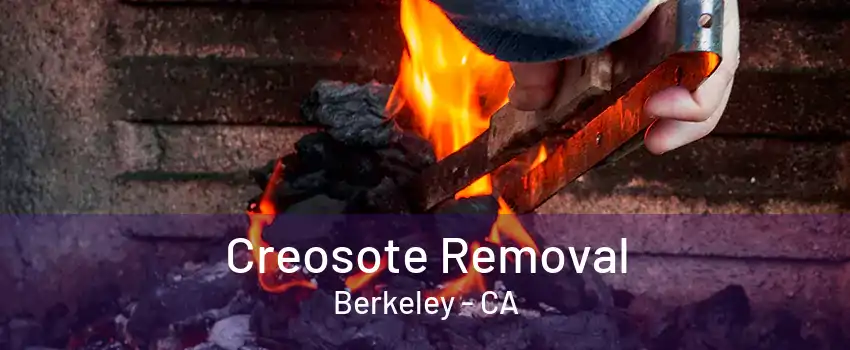 Creosote Removal Berkeley - CA