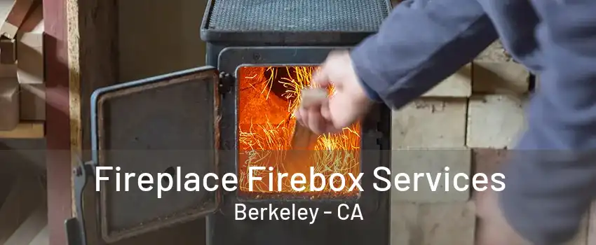 Fireplace Firebox Services Berkeley - CA