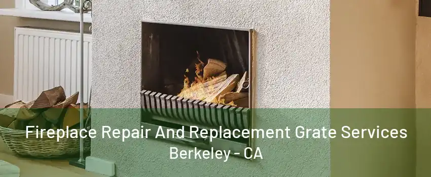 Fireplace Repair And Replacement Grate Services Berkeley - CA