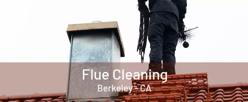 Flue Cleaning Berkeley - CA