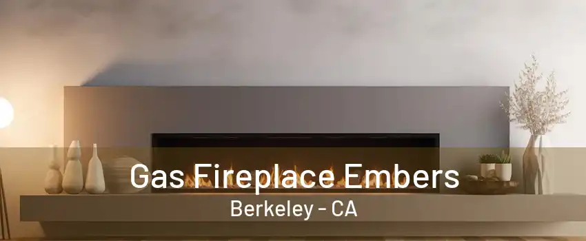 Gas Fireplace Embers Berkeley - CA