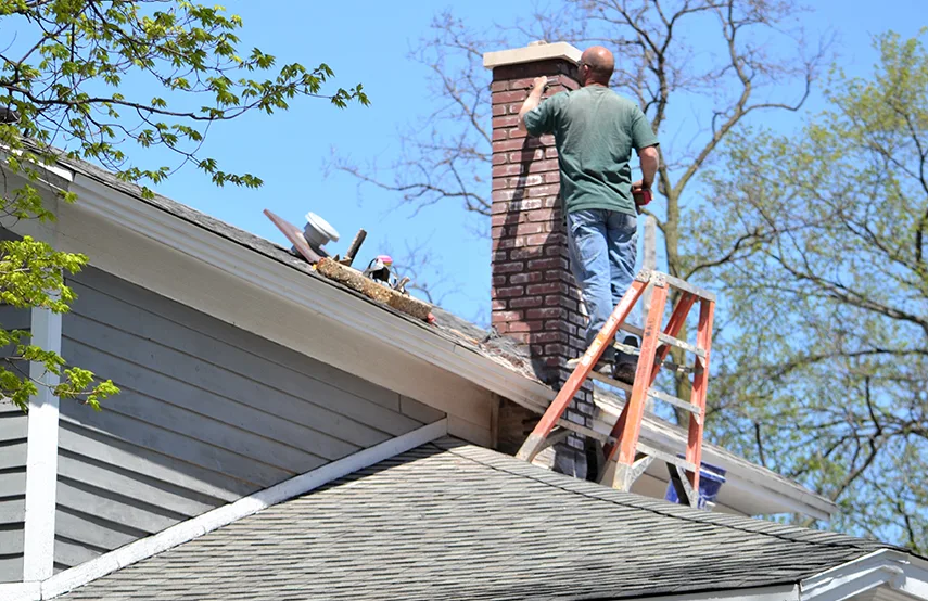 Chimney & Fireplace Inspections Services in Berkeley