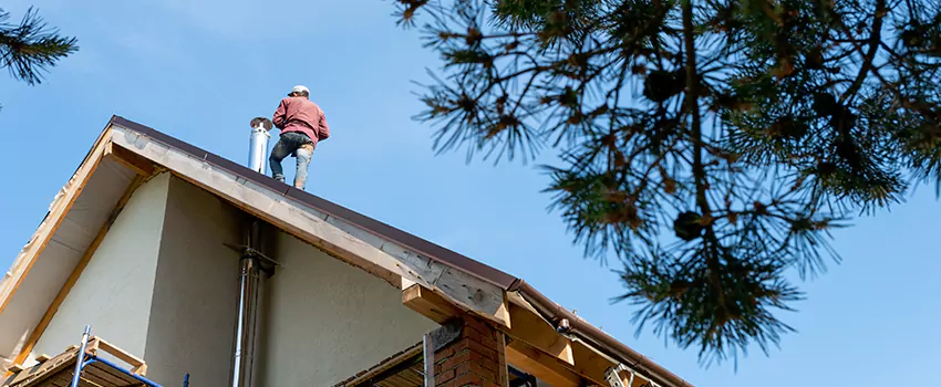 Birds Removal Contractors from Chimney in Berkeley, CA