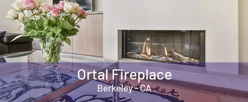 Ortal Fireplace Berkeley - CA